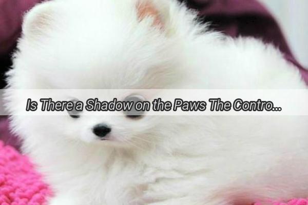 Is There a Shadow on the Paws The Controversy Over Dog Ashes and Their Impact on Children